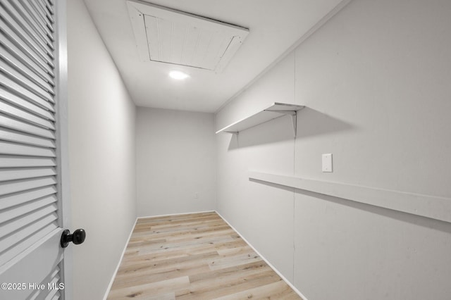 walk in closet featuring light wood-type flooring