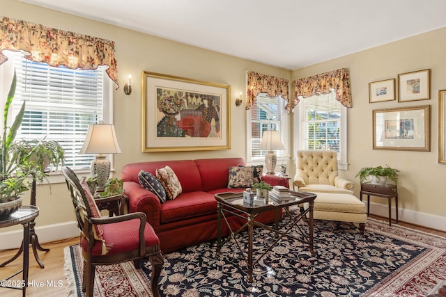 living room featuring hardwood / wood-style flooring