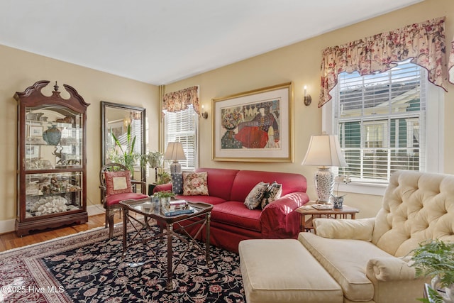 living room featuring hardwood / wood-style floors