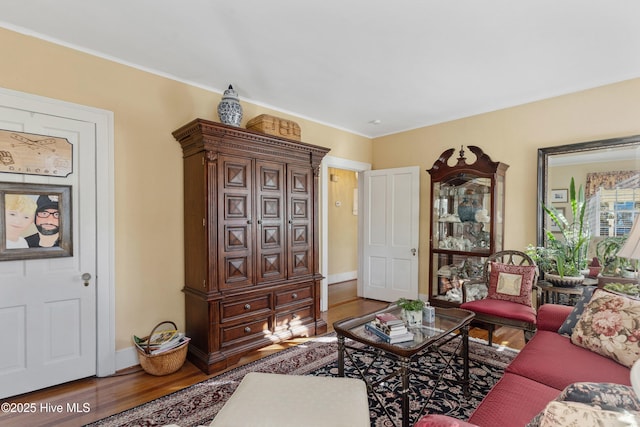 living room with hardwood / wood-style flooring