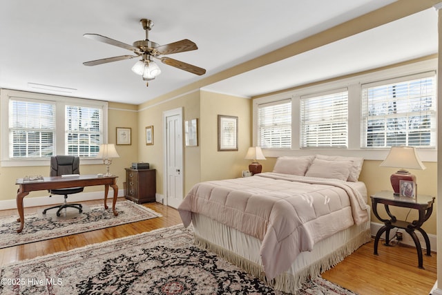 bedroom featuring ceiling fan, ornamental molding, multiple windows, and light wood-type flooring