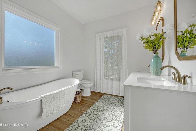 bathroom with wood-type flooring, vanity, a tub to relax in, and toilet