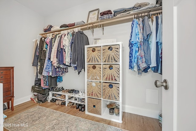 spacious closet with wood-type flooring