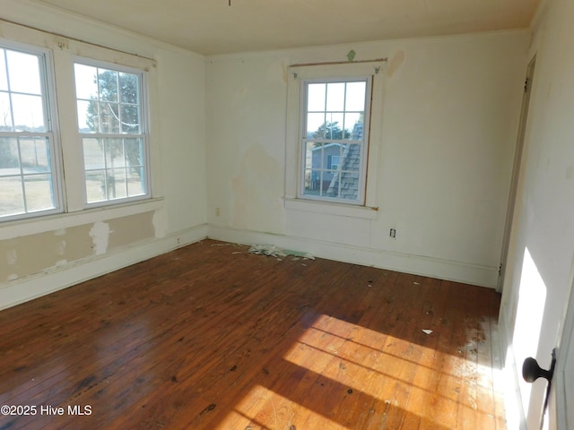 spare room featuring wood-type flooring