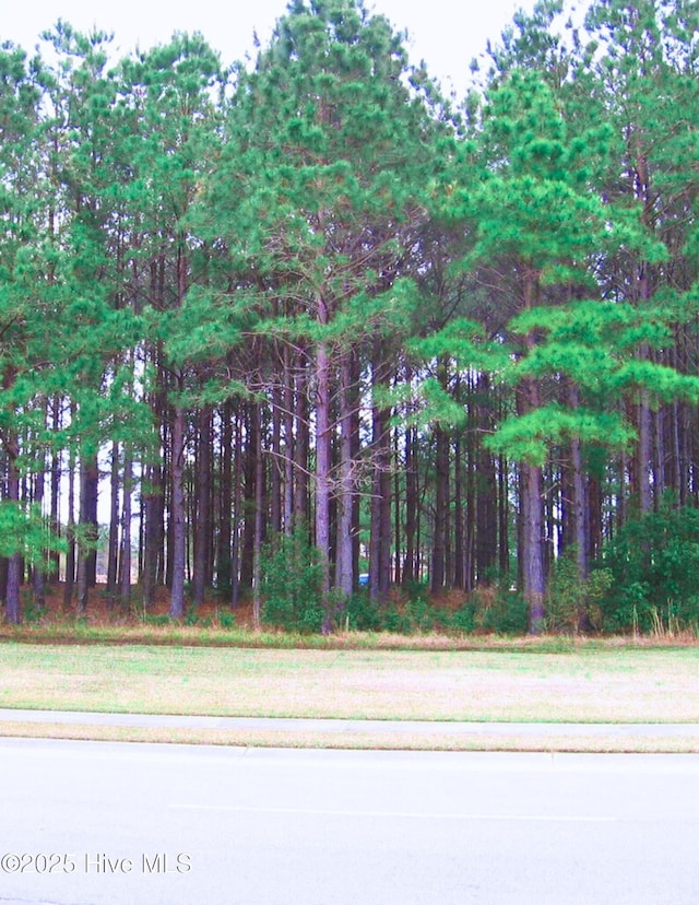 394 Autumn Pheasant Loop NW Unit 32, Calabash NC, 28467 land for sale