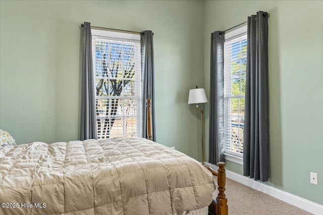 bedroom with carpet