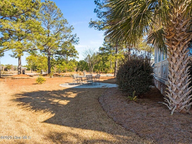 view of yard featuring a patio area