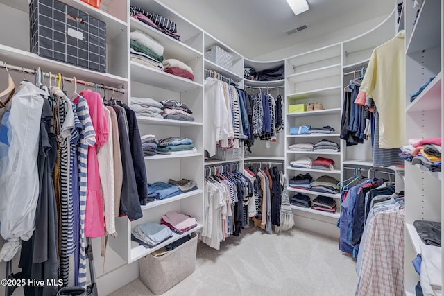 walk in closet featuring light carpet