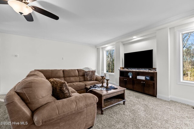 carpeted living room with crown molding and ceiling fan