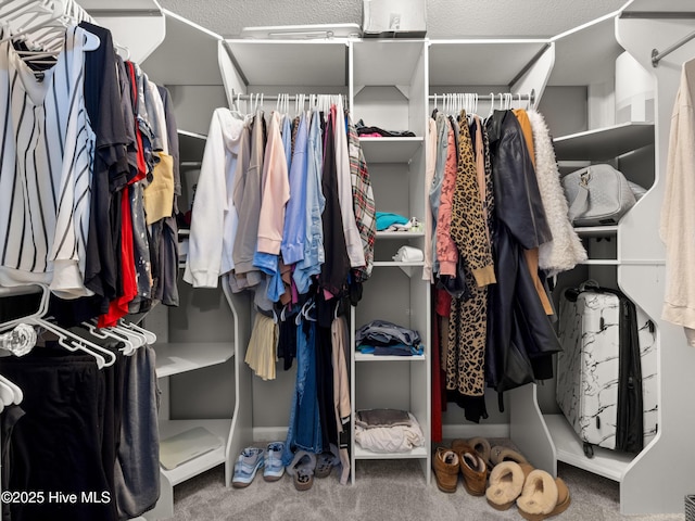 walk in closet with carpet flooring