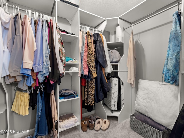 walk in closet with carpet