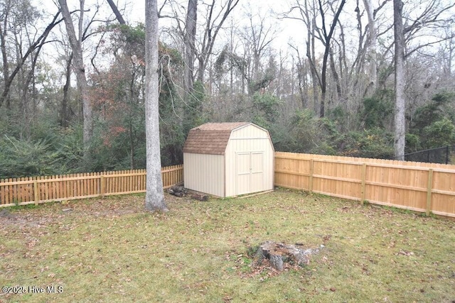 view of yard with a shed