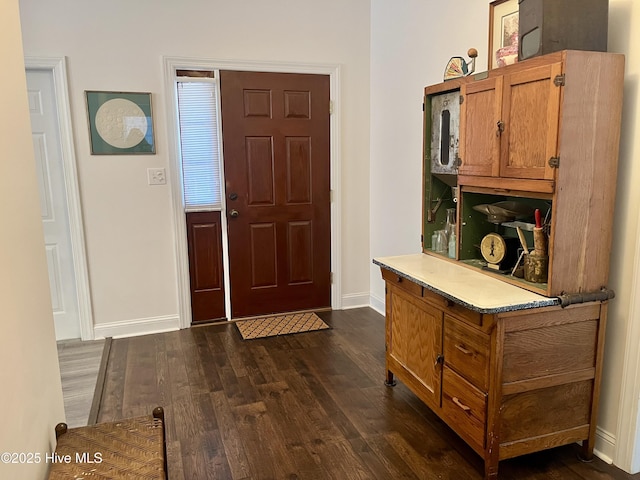 entrance foyer with dark wood-type flooring