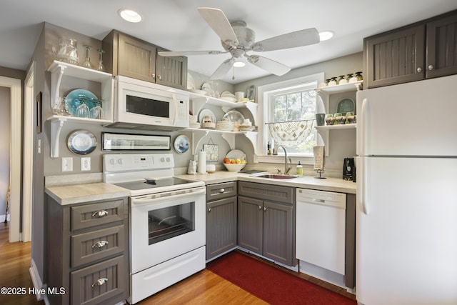 kitchen featuring dark hardwood / wood-style flooring, white appliances, ceiling fan, and sink