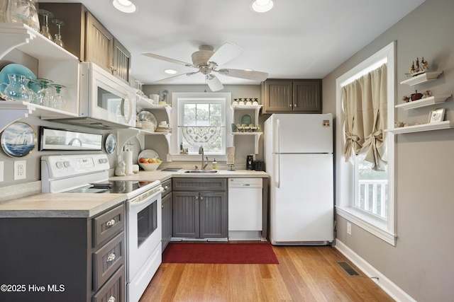 kitchen featuring ceiling fan, light hardwood / wood-style floors, white appliances, and sink