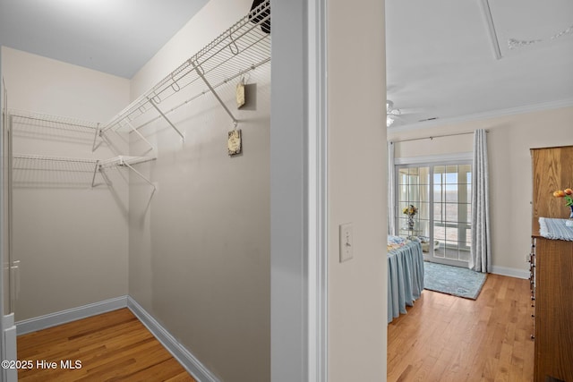 spacious closet featuring hardwood / wood-style floors and ceiling fan