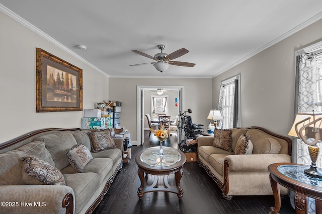 living room with dark wood-type flooring, ceiling fan, and ornamental molding