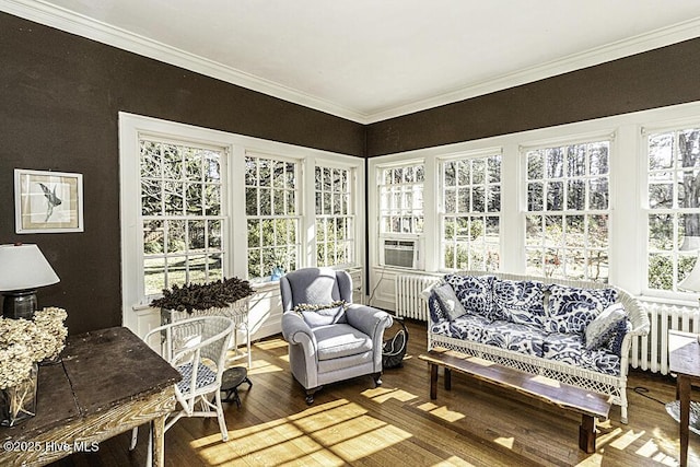 sunroom / solarium with radiator heating unit