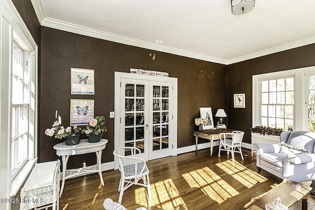 living area featuring dark hardwood / wood-style floors, crown molding, and french doors