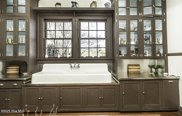 bar with dark brown cabinetry and a healthy amount of sunlight