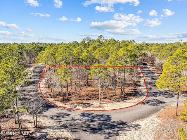 617 Del Sol Cir SE, Bolivia NC, 28422 land for sale