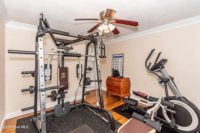 workout room with hardwood / wood-style flooring, ceiling fan, and crown molding