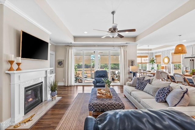 living room with dark hardwood / wood-style floors, ceiling fan, a high end fireplace, a raised ceiling, and crown molding