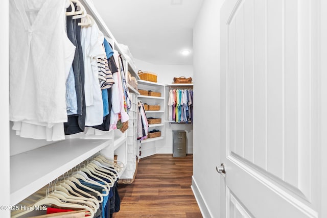 walk in closet with dark hardwood / wood-style flooring