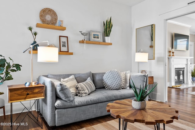 living room featuring wood-type flooring