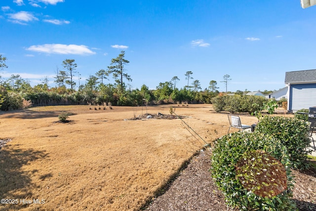 view of yard with a rural view