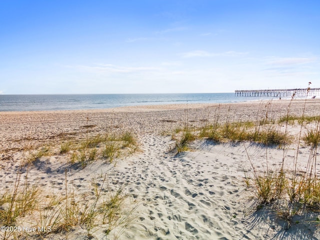 view of water feature with a beach view