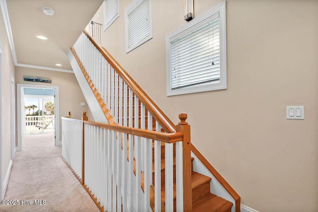 stairs featuring carpet and ornamental molding