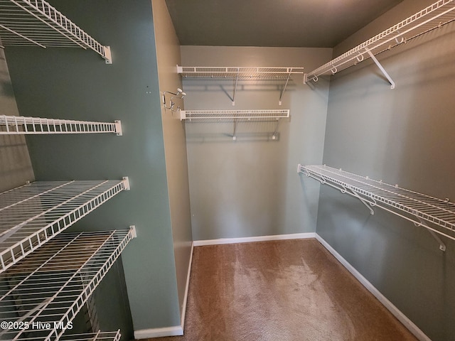 walk in closet with carpet floors