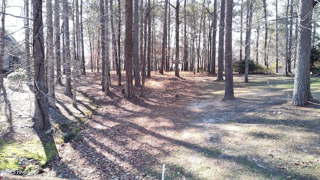 209 Connecticut Dr Unit 301, Chocowinity NC, 27817 land for sale