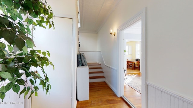 hallway featuring radiator heating unit, light hardwood / wood-style flooring, and ornamental molding