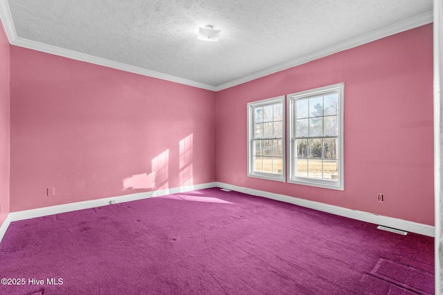 carpeted empty room with crown molding and a textured ceiling