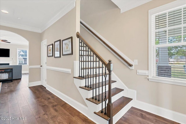 stairs featuring ceiling fan, crown molding, and wood-type flooring