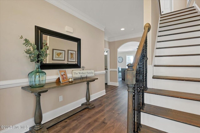 interior space featuring ornamental molding and dark hardwood / wood-style floors