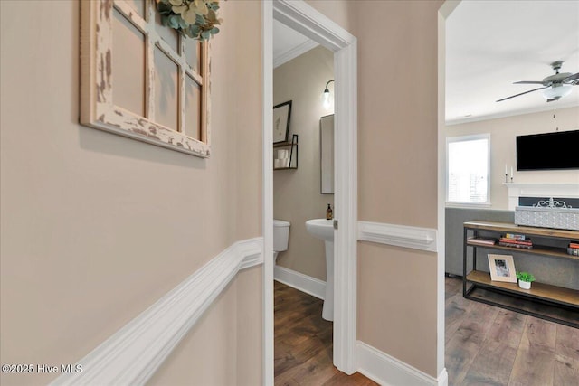 corridor with wood-type flooring and ornamental molding