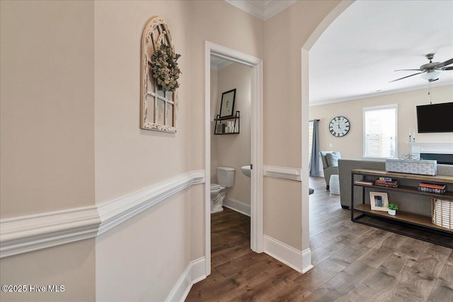 corridor with wood-type flooring and crown molding