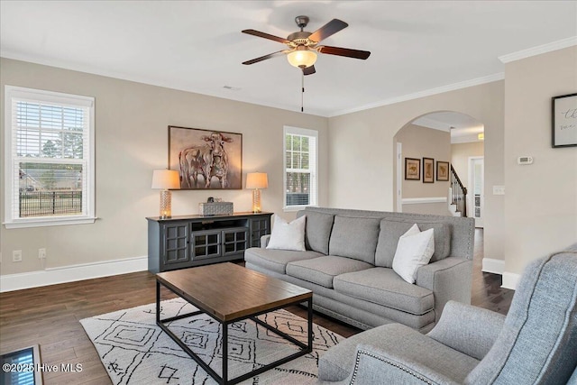 living room with ceiling fan, ornamental molding, a healthy amount of sunlight, and dark hardwood / wood-style floors