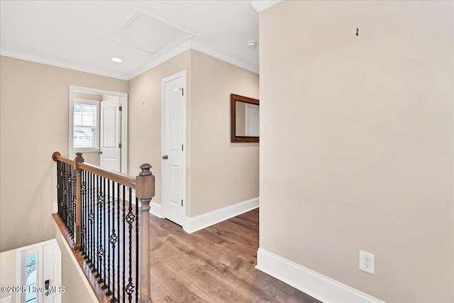 hallway with wood-type flooring and ornamental molding