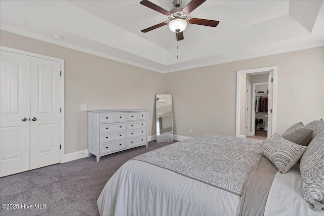 bedroom featuring a raised ceiling, ceiling fan, a closet, and dark colored carpet