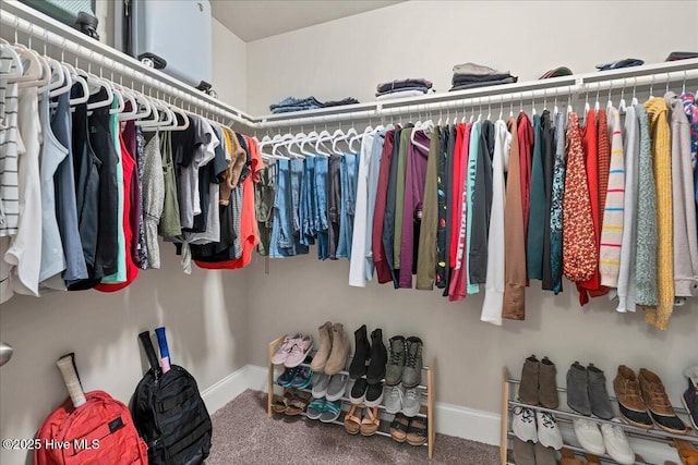 spacious closet with carpet