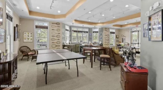 game room featuring a raised ceiling, a wealth of natural light, and rail lighting