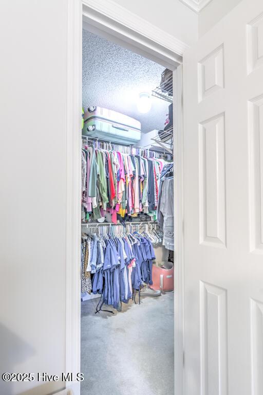 view of closet