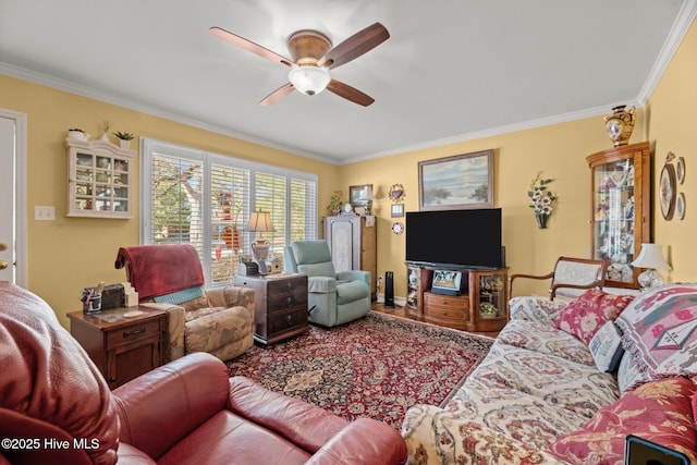 living room featuring ceiling fan and ornamental molding