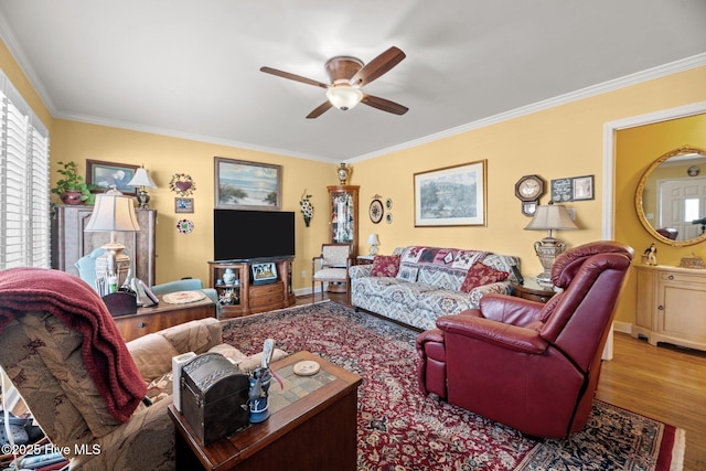 living room with ceiling fan, ornamental molding, and light hardwood / wood-style flooring