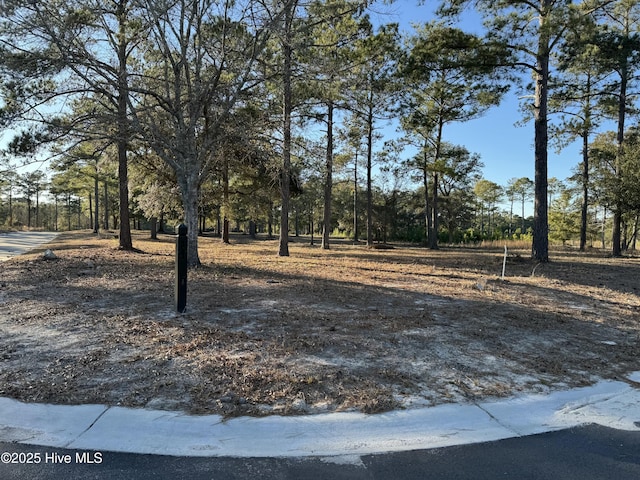 Listing photo 2 for 7575 Haddington Pl SW Unit 84, Sunset Beach NC 28468