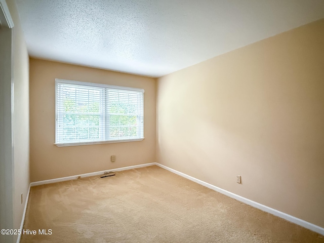 empty room featuring carpet floors and a textured ceiling